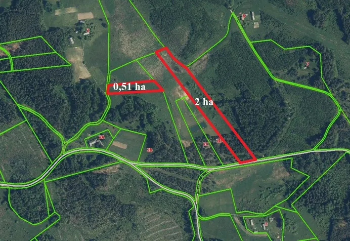 Listing image