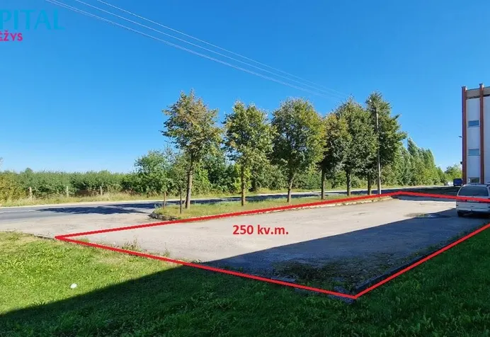 Listing image