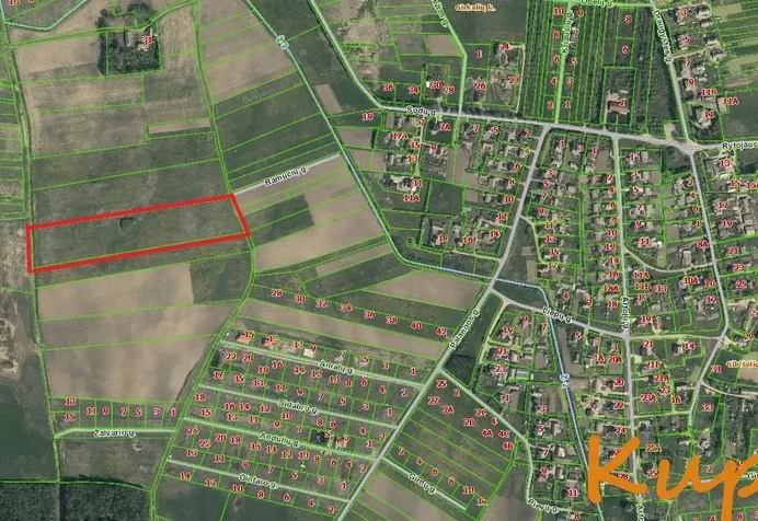 Listing image