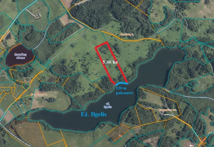 Listing image