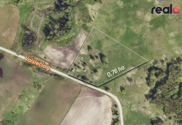 Listing image