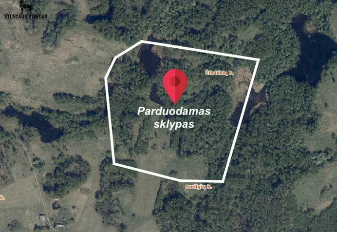 Listing image