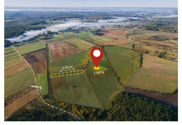 Listing image