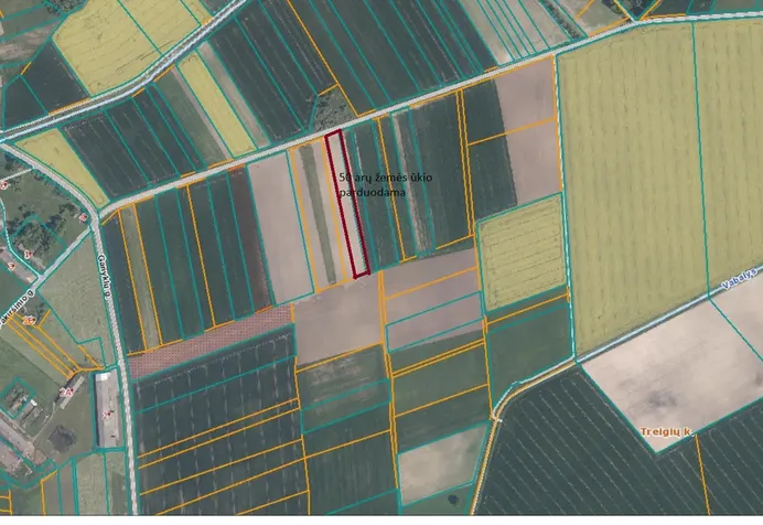 Listing image
