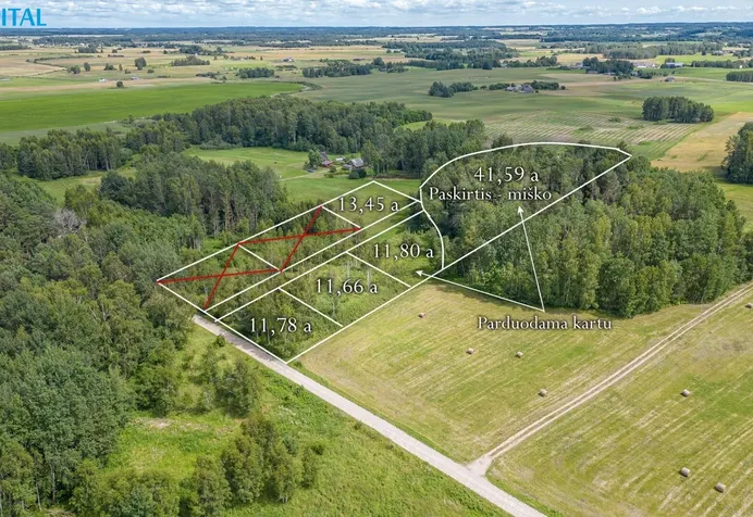 Listing image