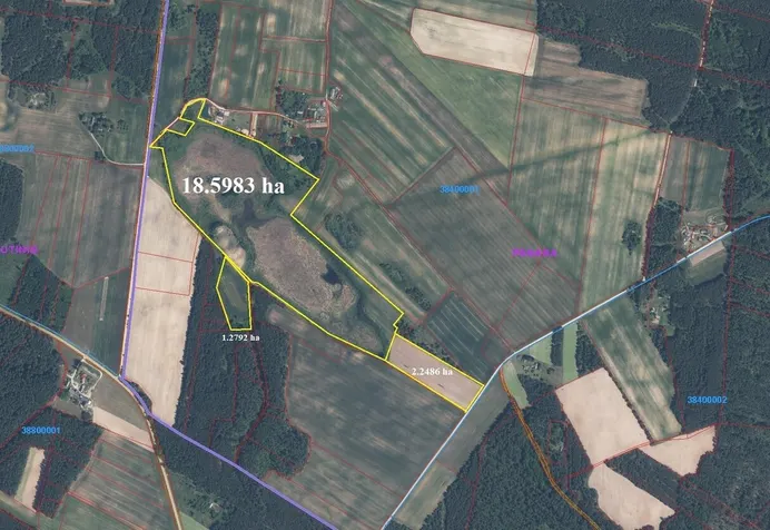 Listing image
