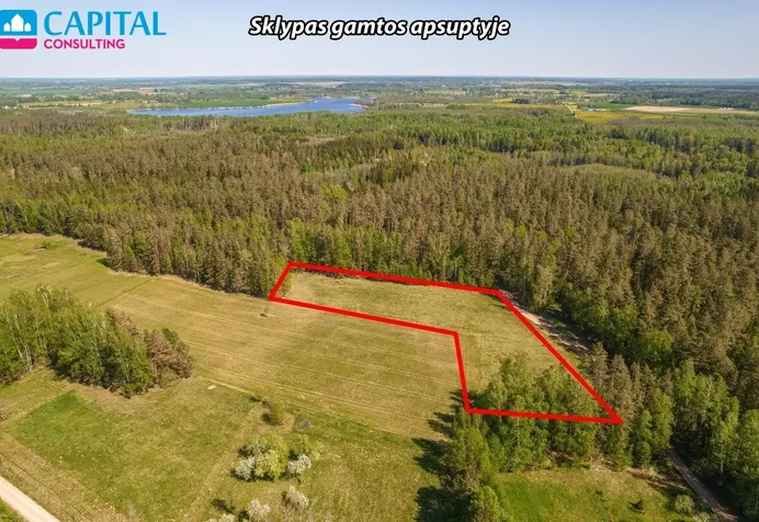 Listing image