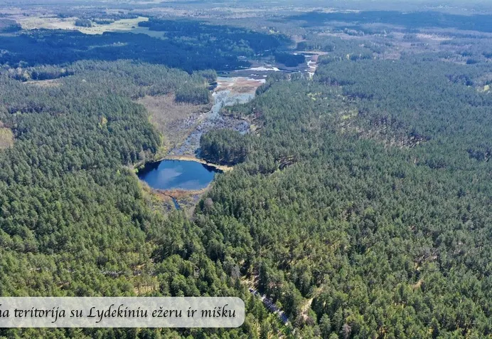 Listing image
