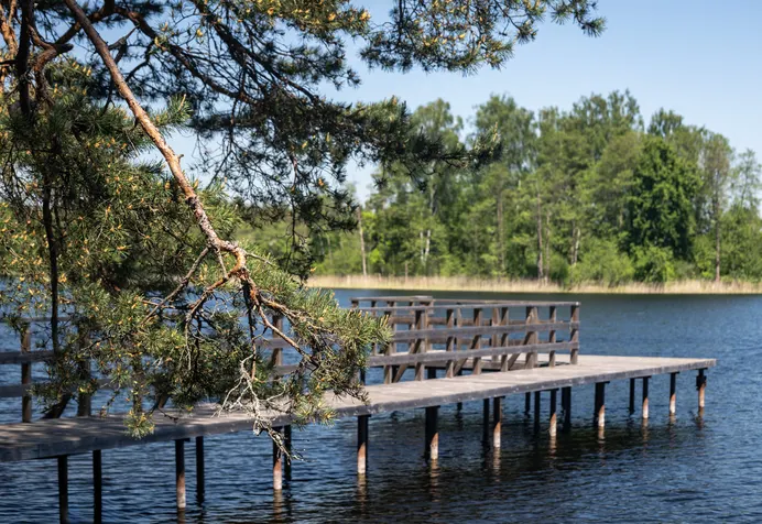 Sklypas Molėtų rajono sav., Kaulakiuose