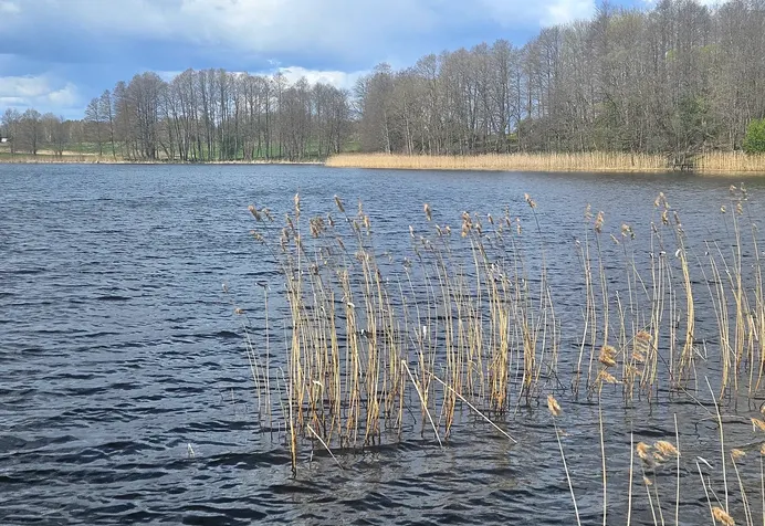 Sklypas Molėtų rajono sav., Bekupėje, Sodų g.