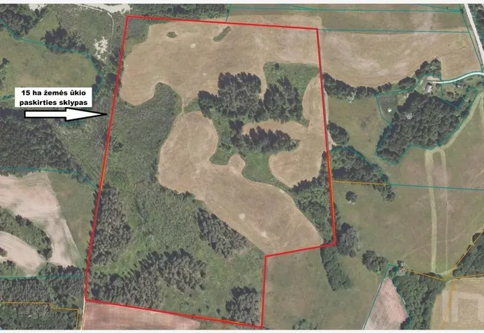 Listing image