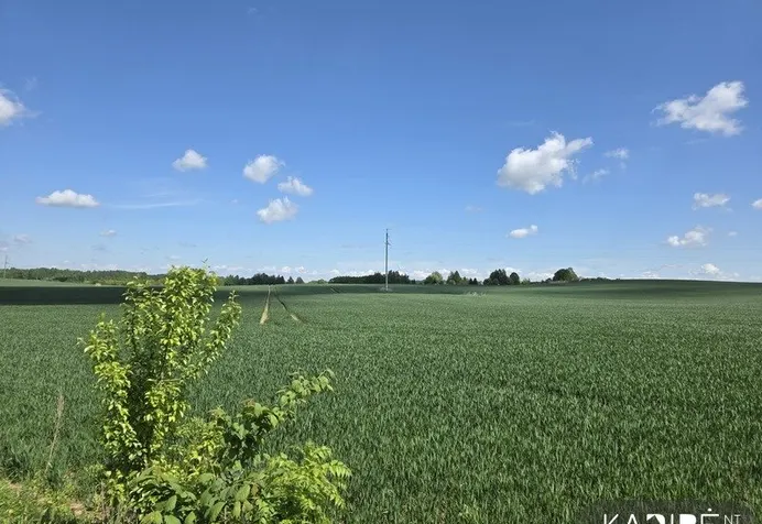 Land Vilniaus rajono sav., Kudriuose