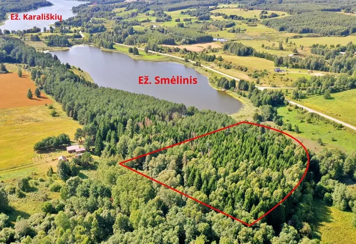 Listing image