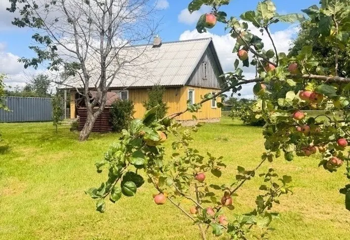 Listing image