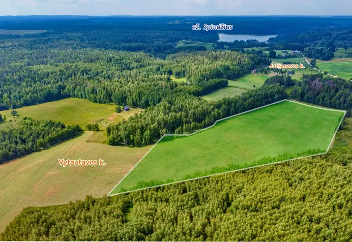Listing image
