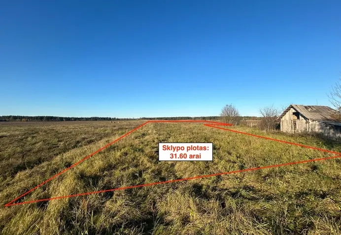 Listing image