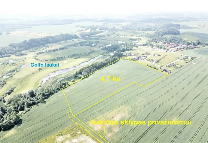 Listing image