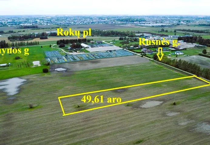 Listing image