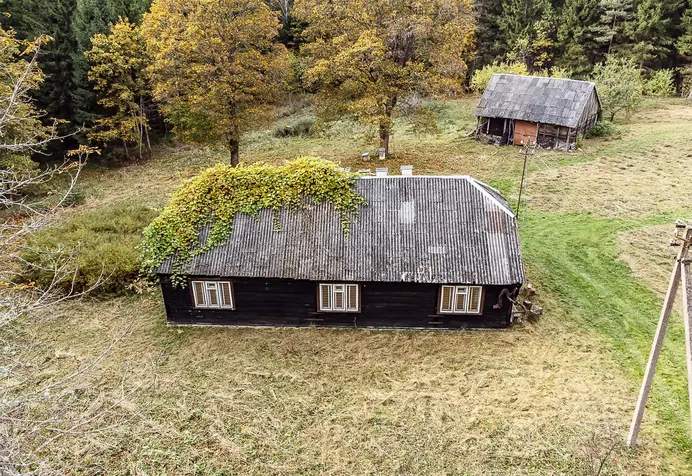 Farmstead Kelmės r. sav., Jadvygavoje