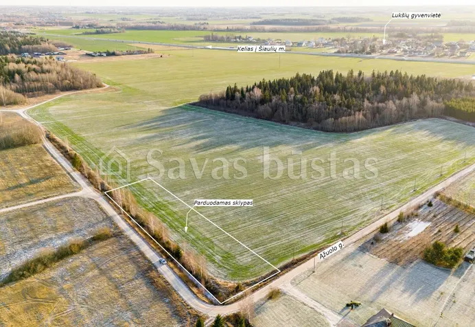 Listing image