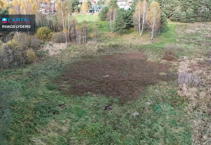 Sklypas Druskininkų sav., Jaskonyse