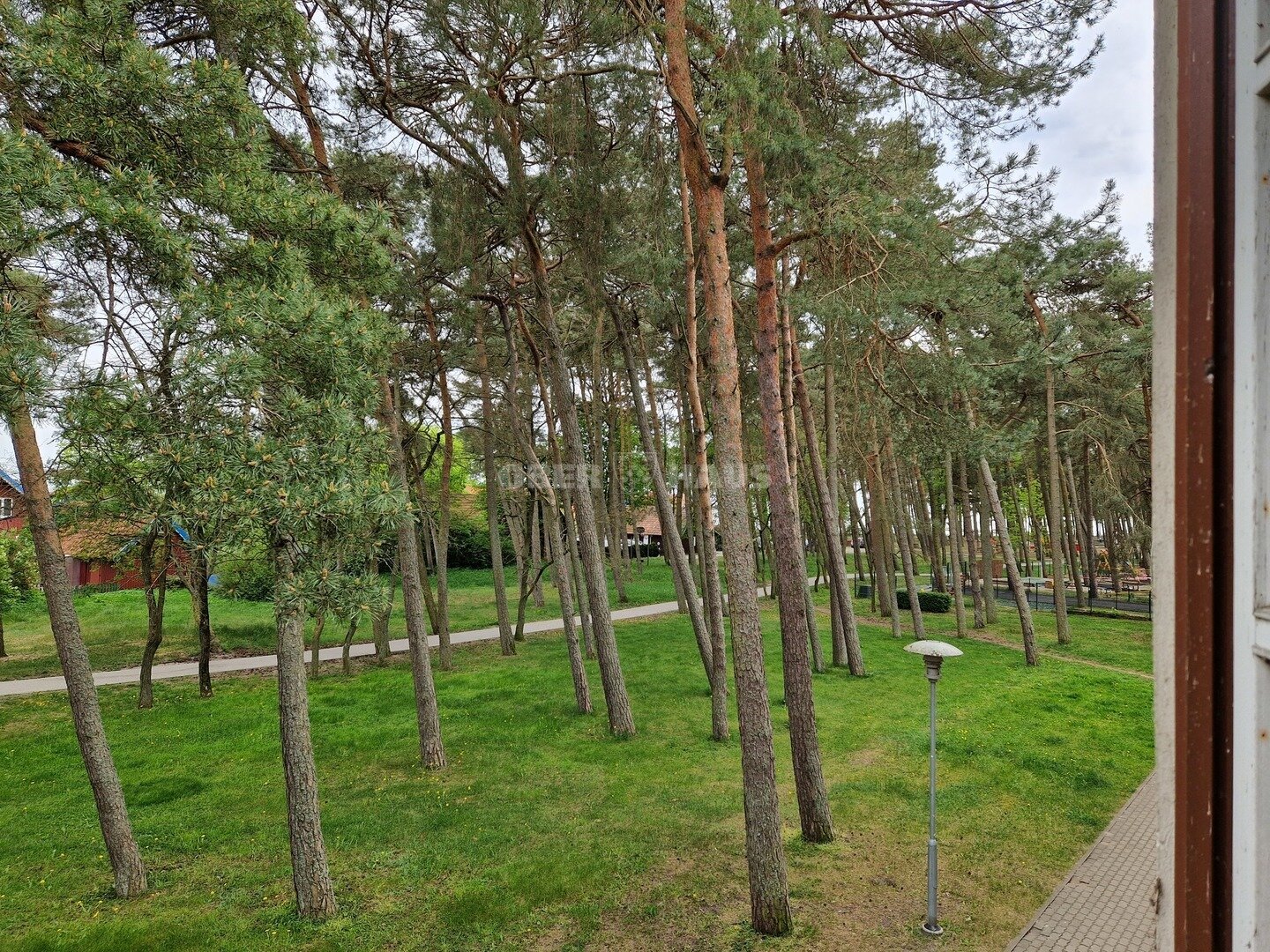 Taikos g., Neringa, 3 kamb. – nuotrauka 6