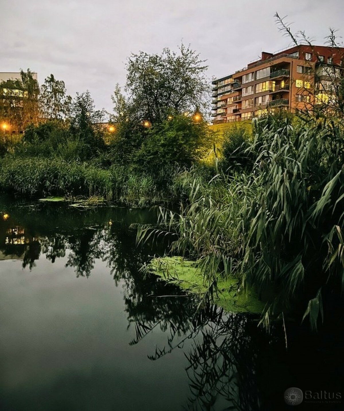 Panevėžio g., Mažojo kaimelio, Klaipėda, 2 kamb. – изображение 3