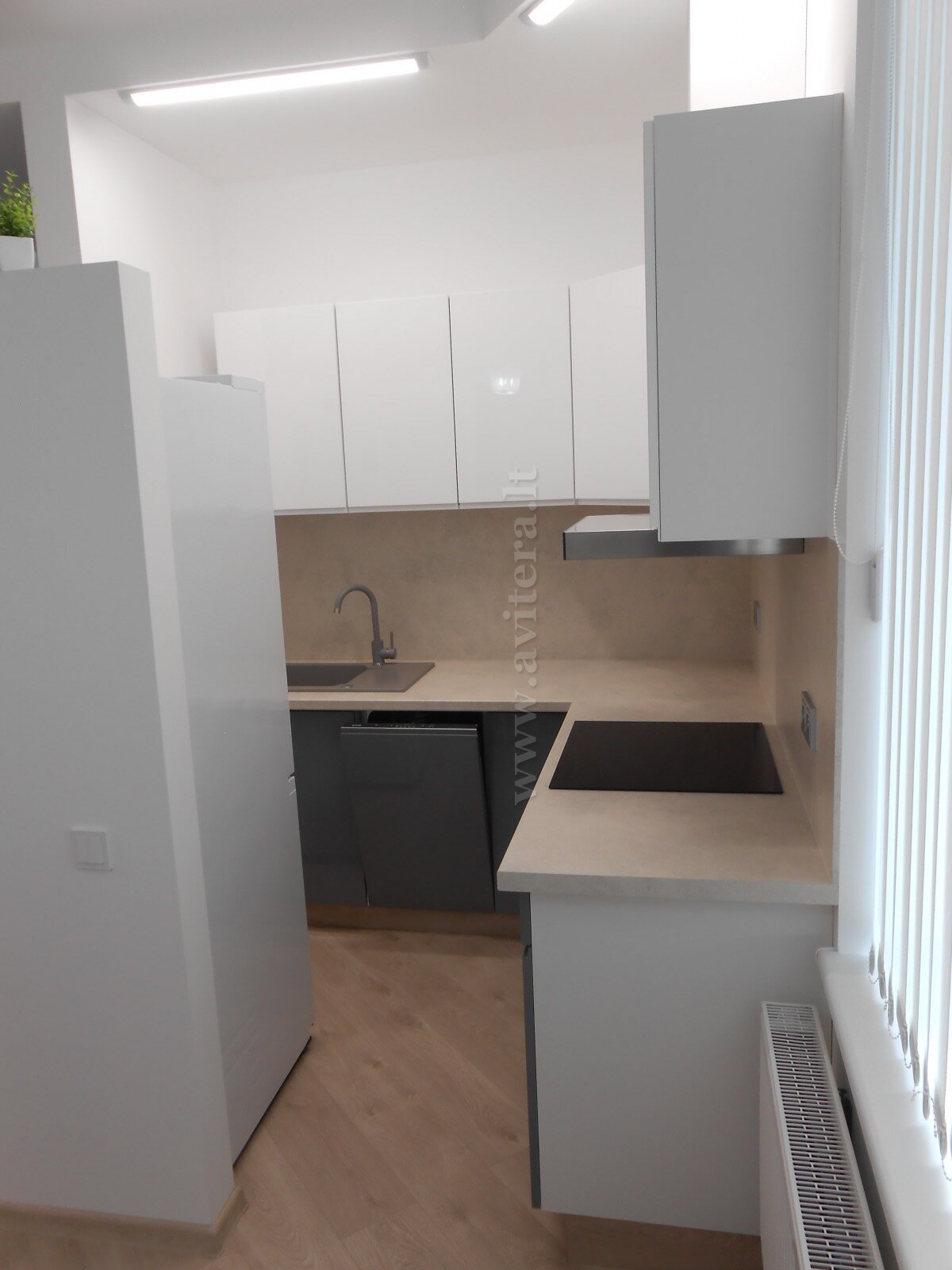 Liepų g., Centras, Klaipėda, 3 kamb. – nuotrauka 3