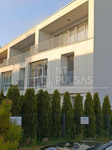 M. Daujoto g., Palanga, Palanga, 2 kamb. – nuotrauka 3