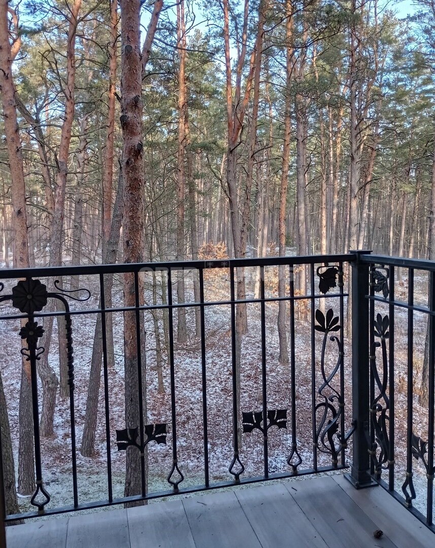 T. Kosciuškos g., Druskininkai, 2 kamb. – nuotrauka 6