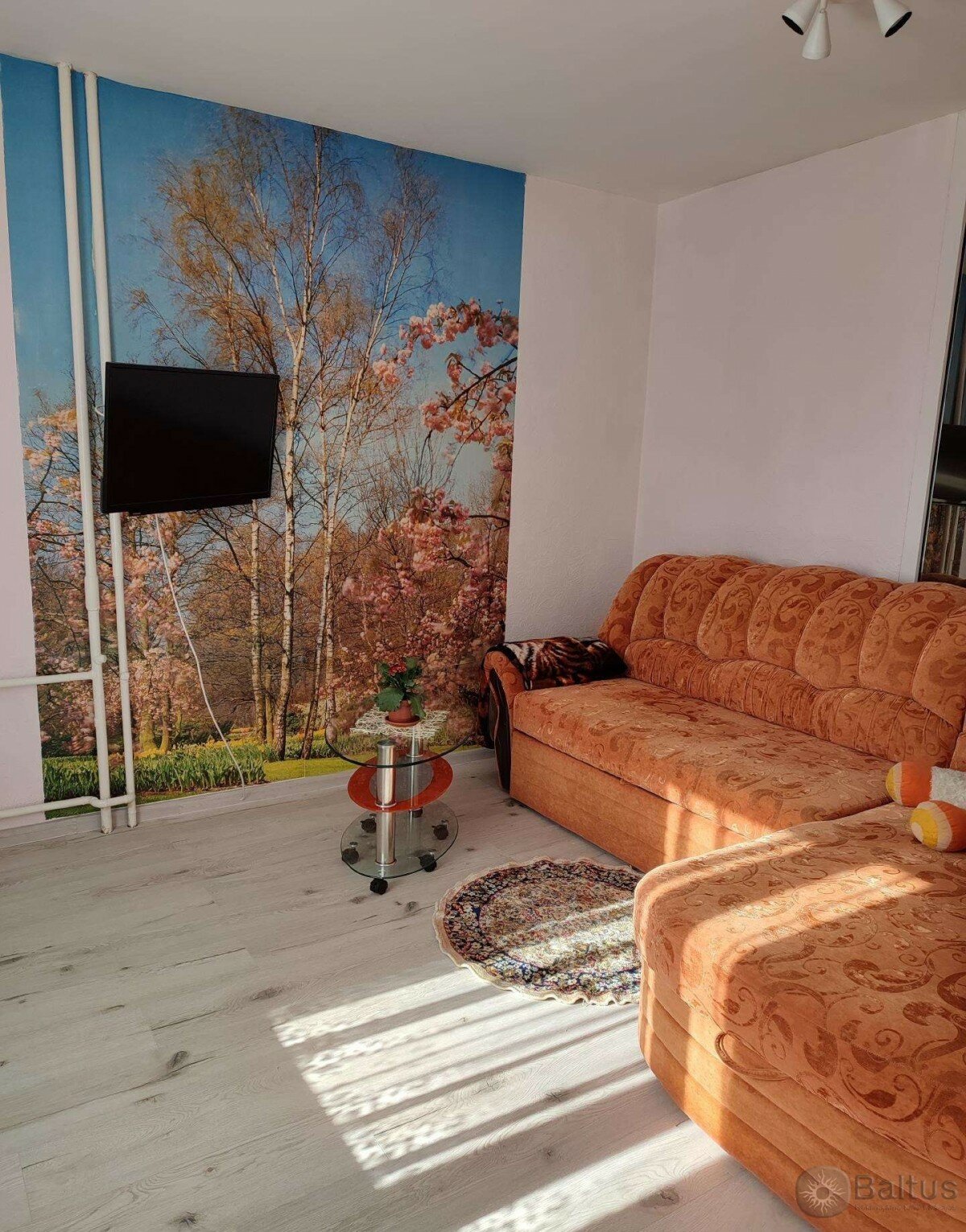 Taikos pr., Vėtrungė, Klaipėda, 1 kamb. – nuotrauka 3