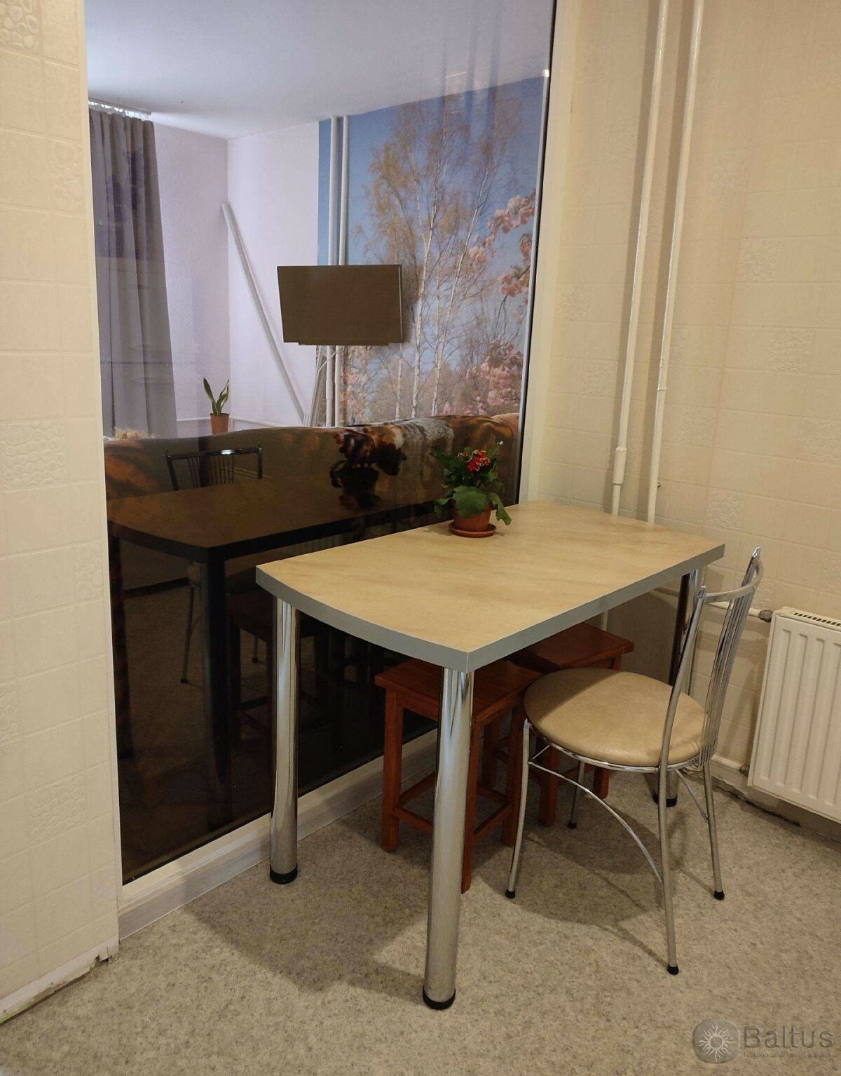 Taikos pr., Vėtrungė, Klaipėda, 1 kamb. – nuotrauka 6