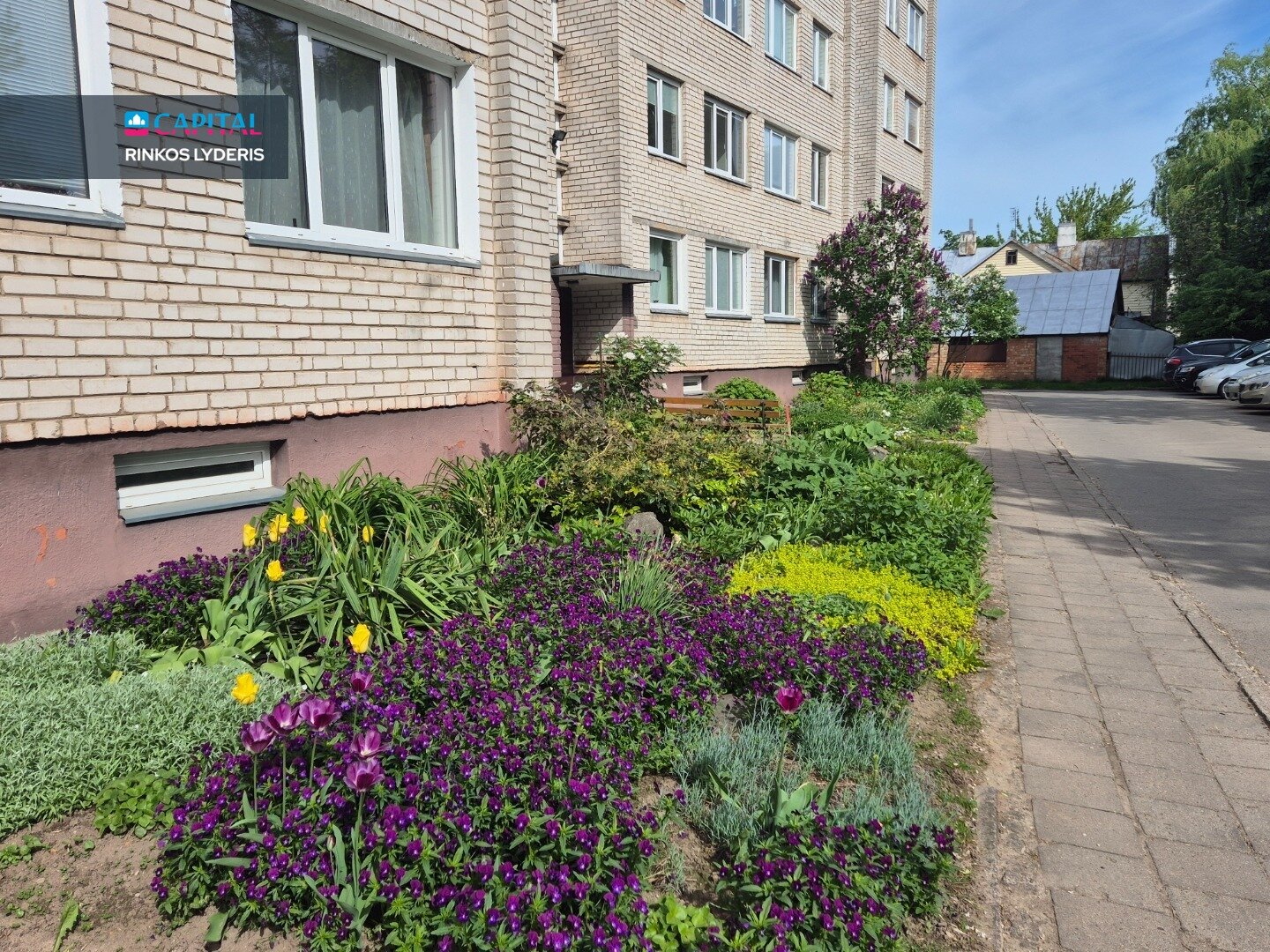 Rambyno g., Centras, Panevėžys, 2 kamb. – nuotrauka 3