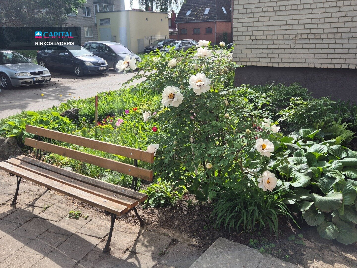 Rambyno g., Centras, Panevėžys, 2 kamb. – nuotrauka 4