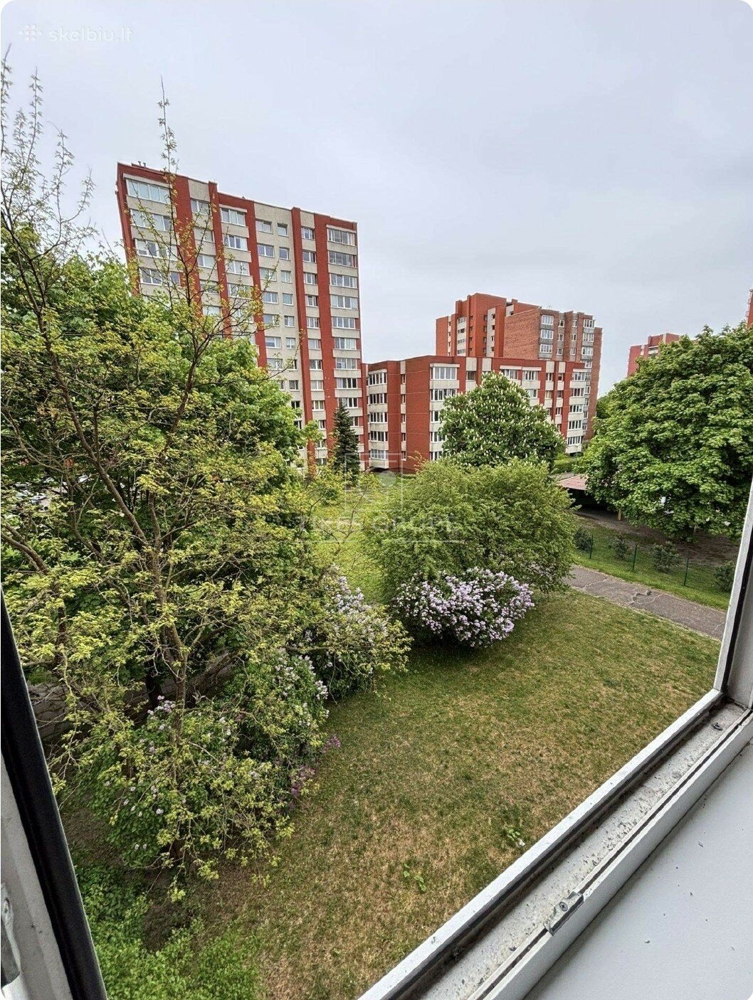 Kretingos g., Miško, Klaipėda, 1 kamb. – nuotrauka 6