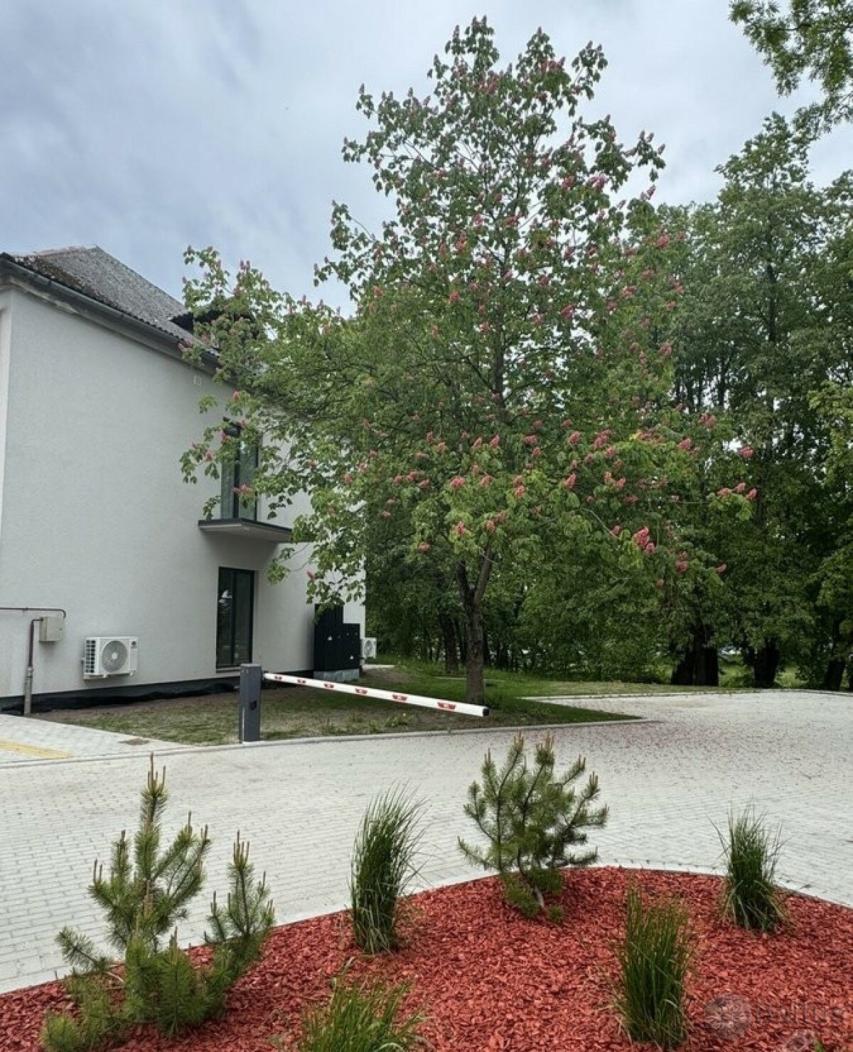 Jaunystės g., Paupiai, Klaipėda, 2 kamb. – nuotrauka 5