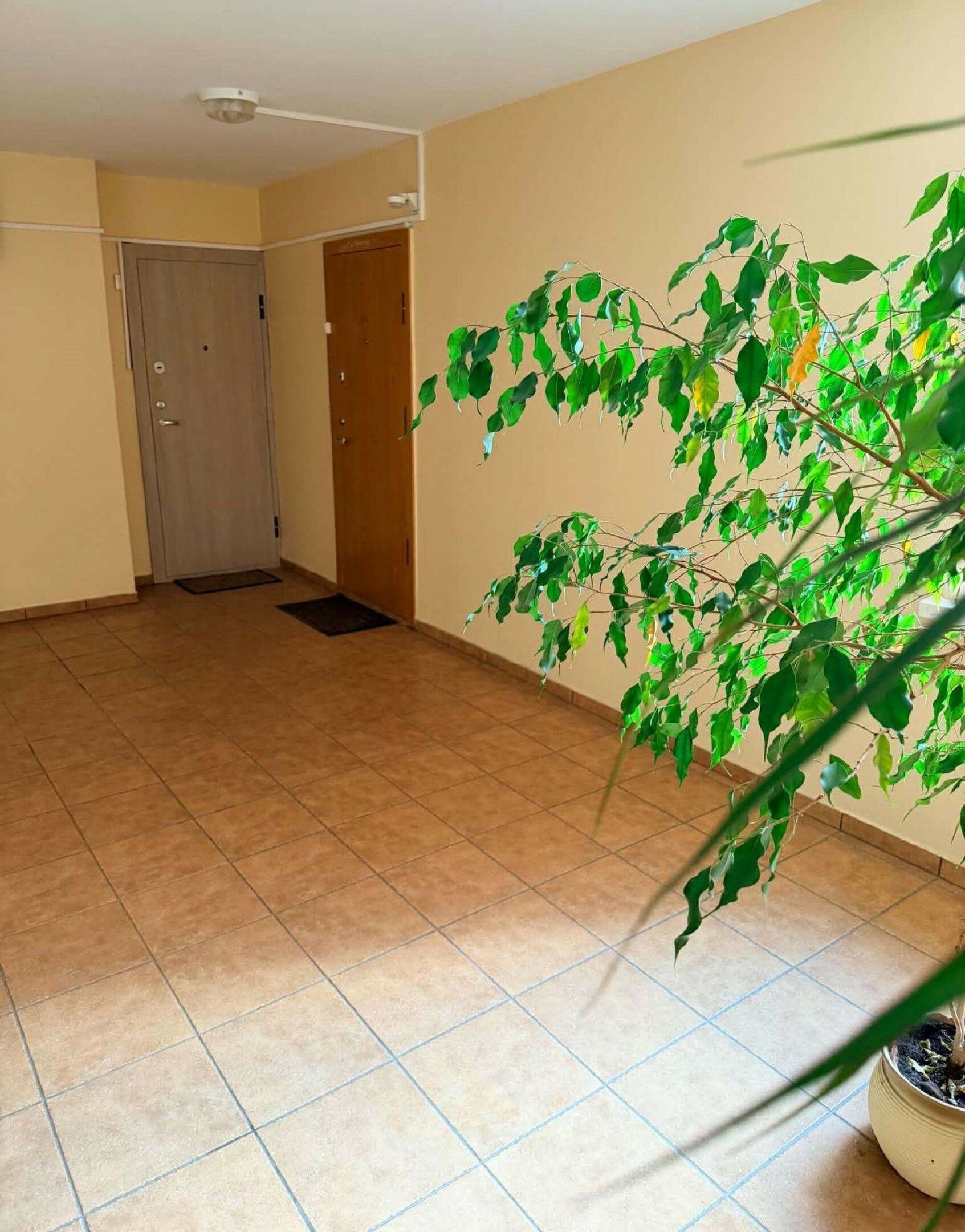 Taikos pr., Vėtrungė, Klaipėda, 1 kamb. – nuotrauka 6