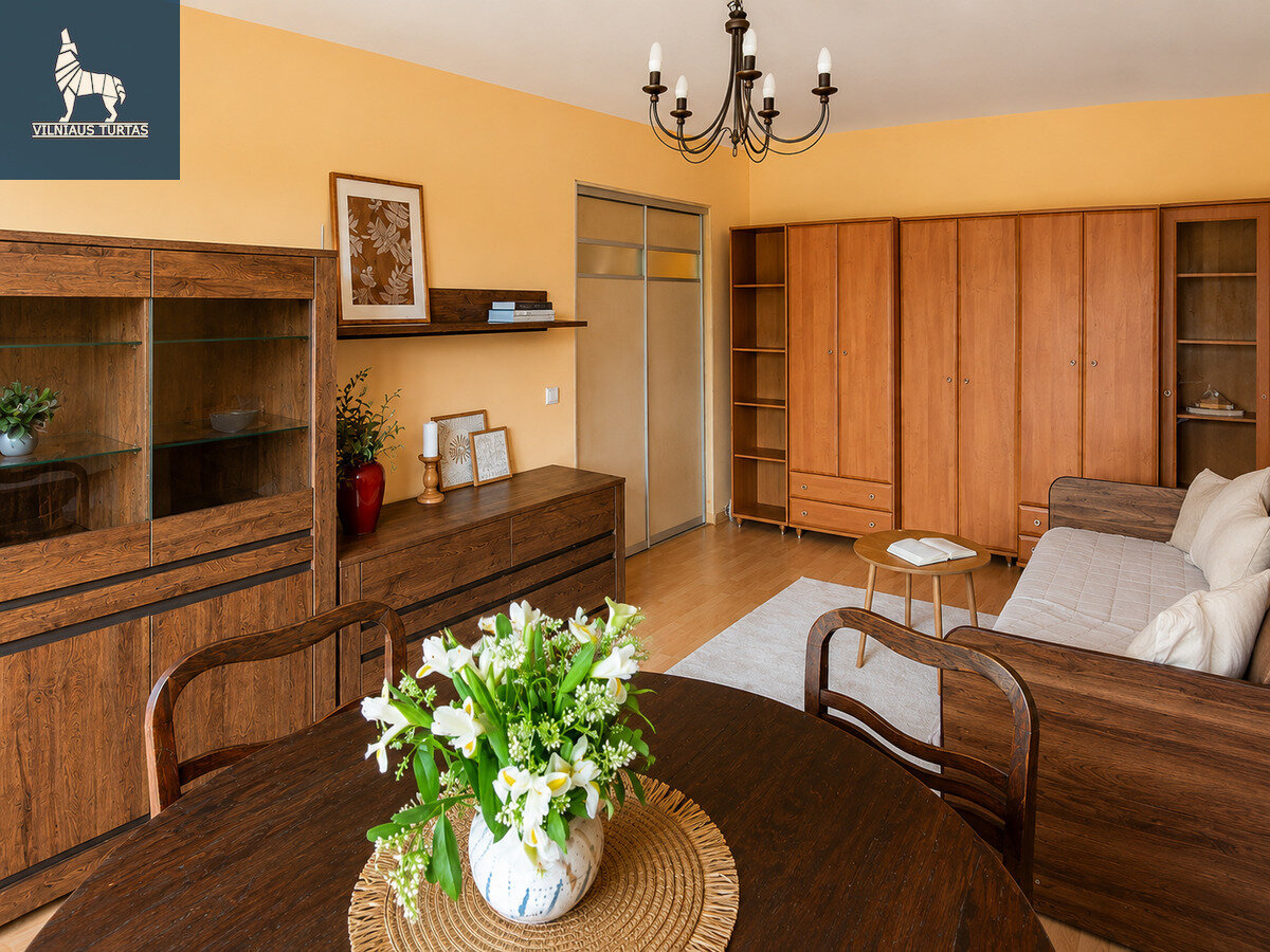 P. Vileišio g., Antakalnis, Vilnius, 1 kamb. – nuotrauka 5
