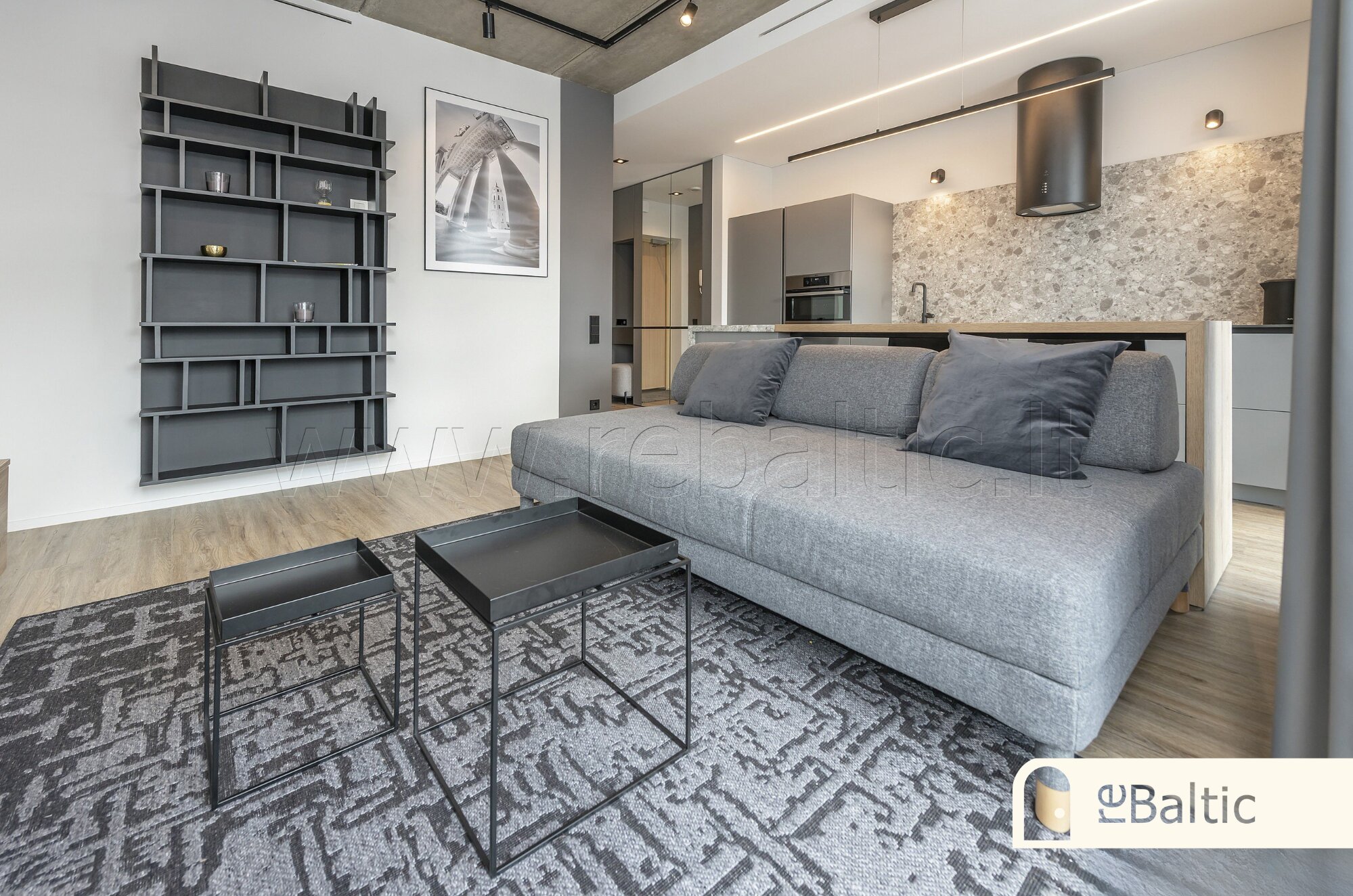 Rinktinės g., Šnipiškės, Vilnius, 2 kamb. – nuotrauka 3
