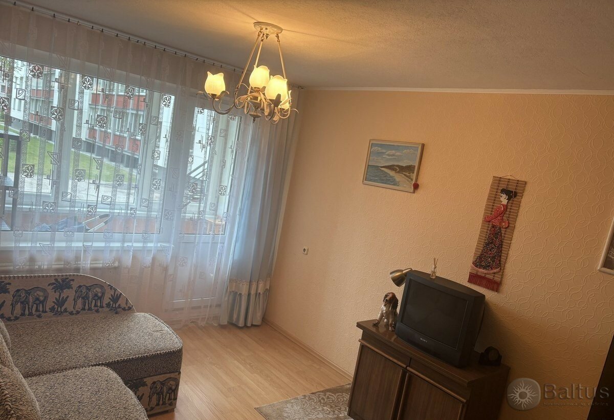I. Simonaitytės g., Vingiai, Klaipėda, 1 kamb. – nuotrauka 3