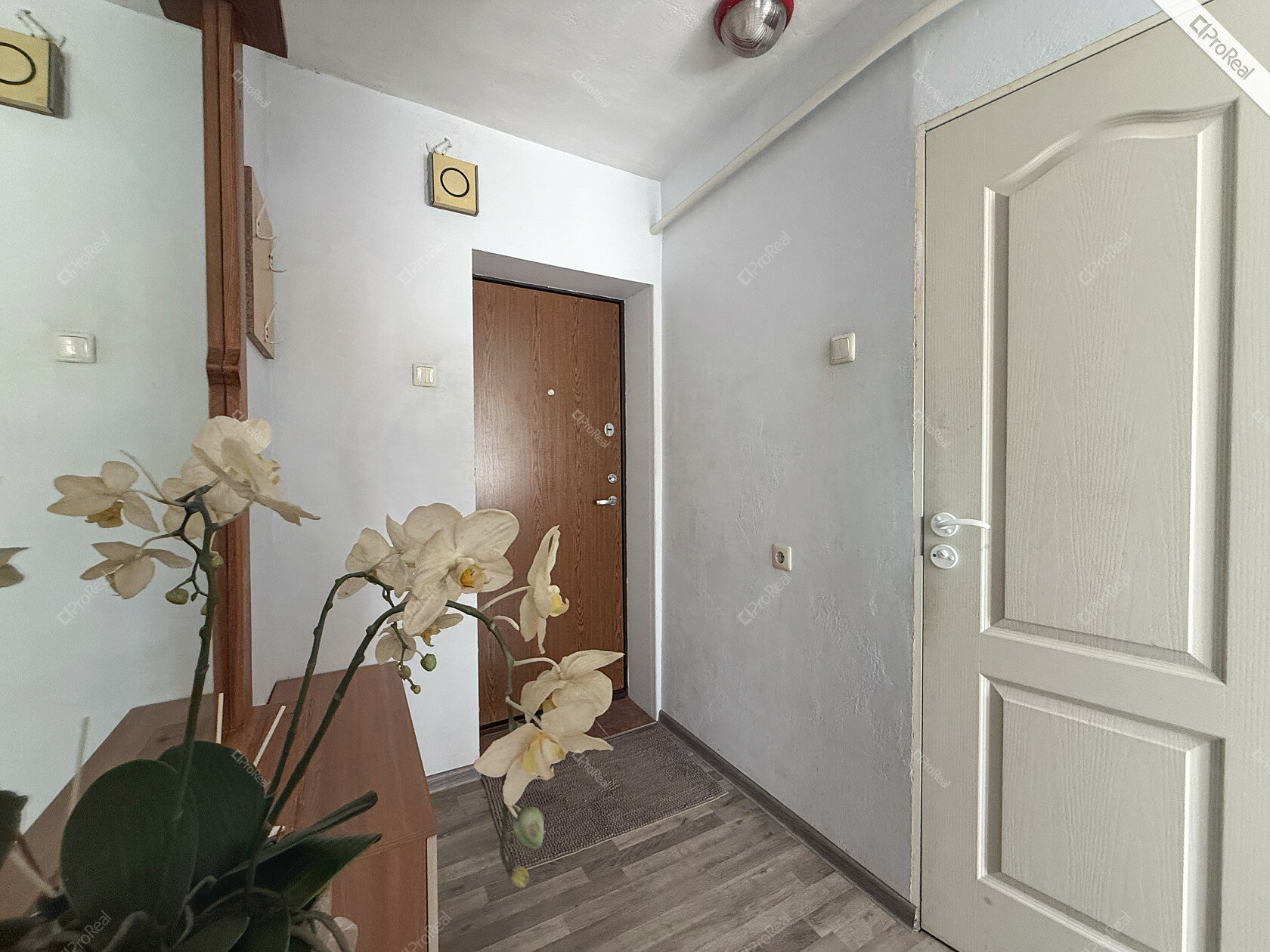 Minties g., Žirmūnai, Vilnius, 1 kamb. – nuotrauka 4