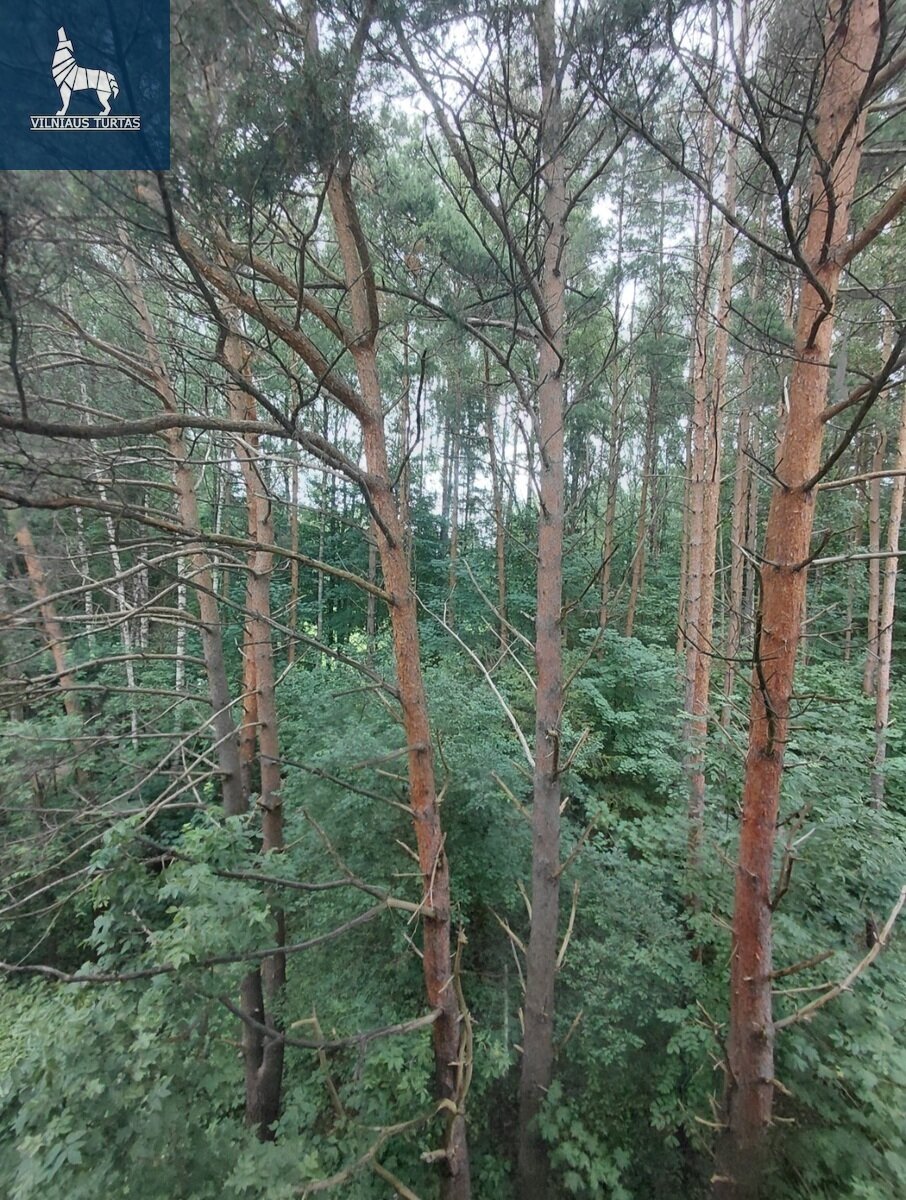 Liongino Baliukevičiaus-Dzūko g., Fabijoniškės, Vilnius, 1 kamb. – nuotrauka 3