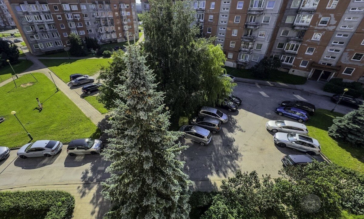 Brožynų g., Bandužiai, Klaipėda, 2 kamb. – nuotrauka 4