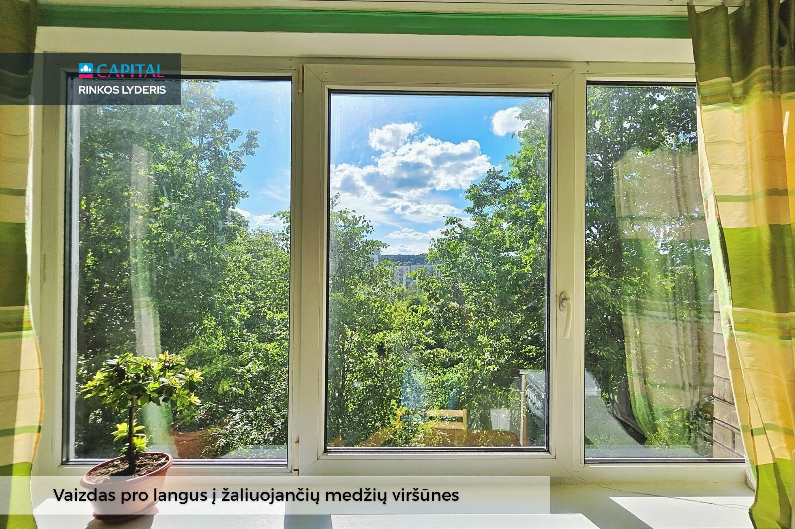 Šnipiškės, Vilnius, 2 kamb. – nuotrauka 4