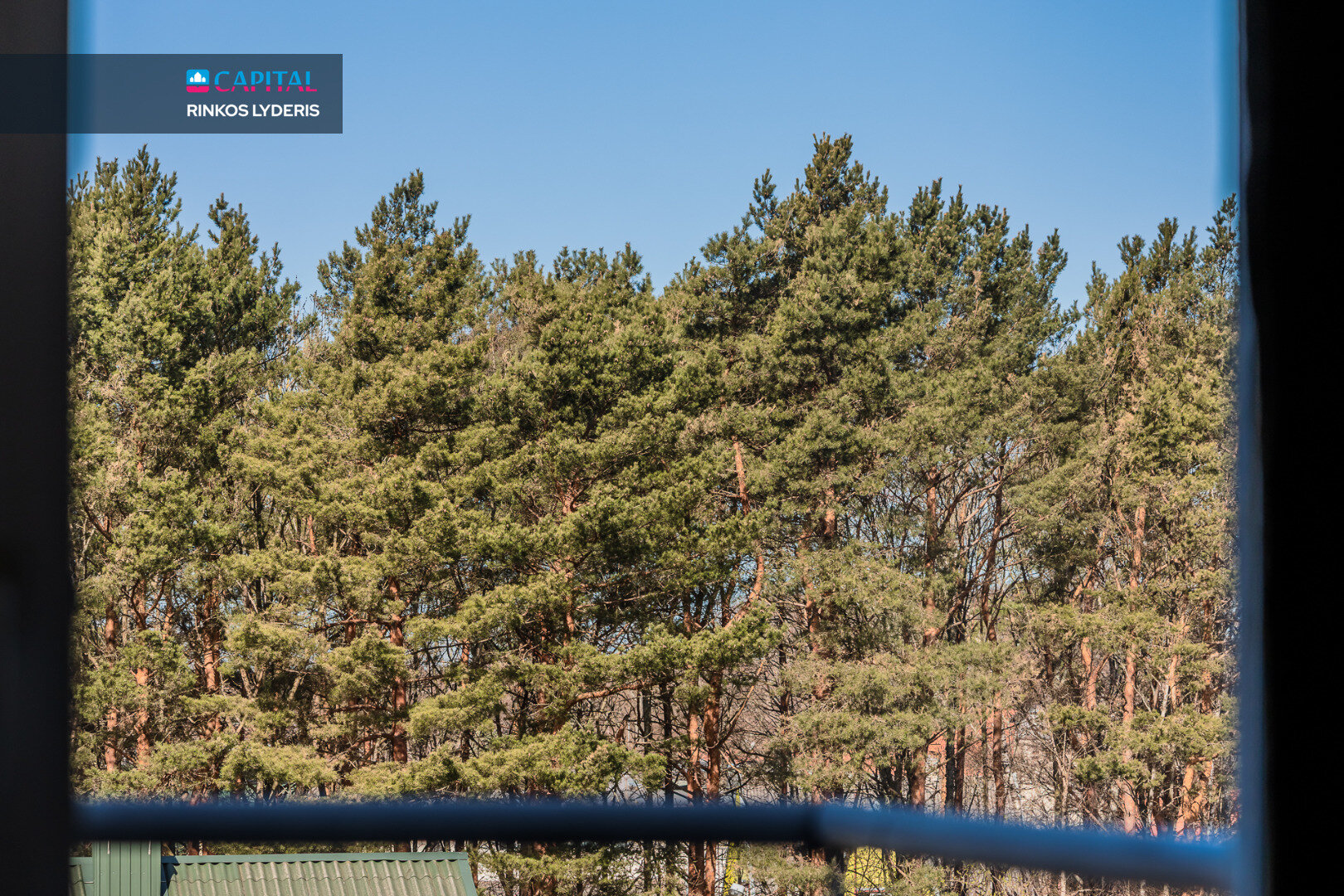 Palanga, Palanga, 3 kamb. – nuotrauka 4
