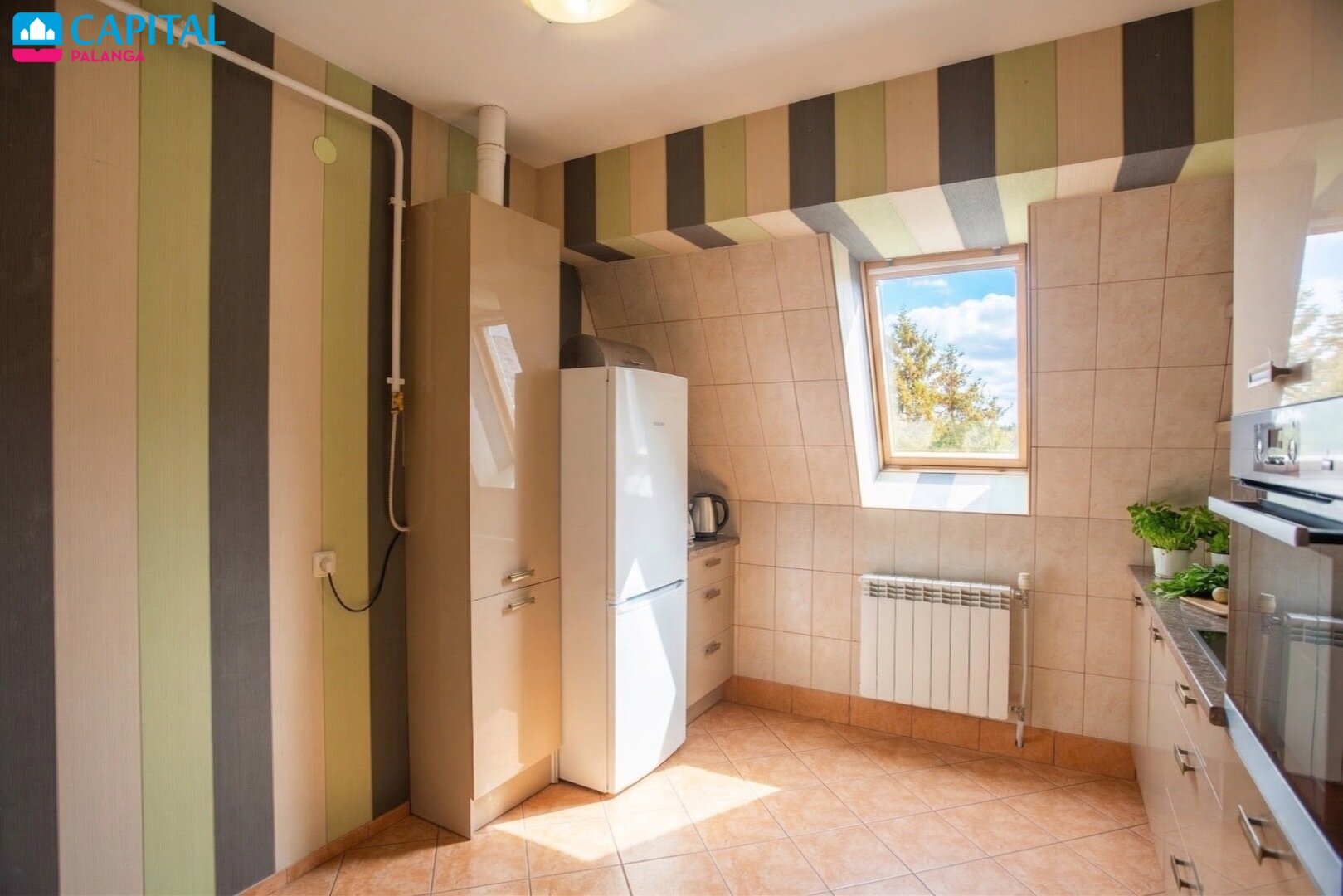 Palanga, Palanga, 4 kamb. – nuotrauka 4