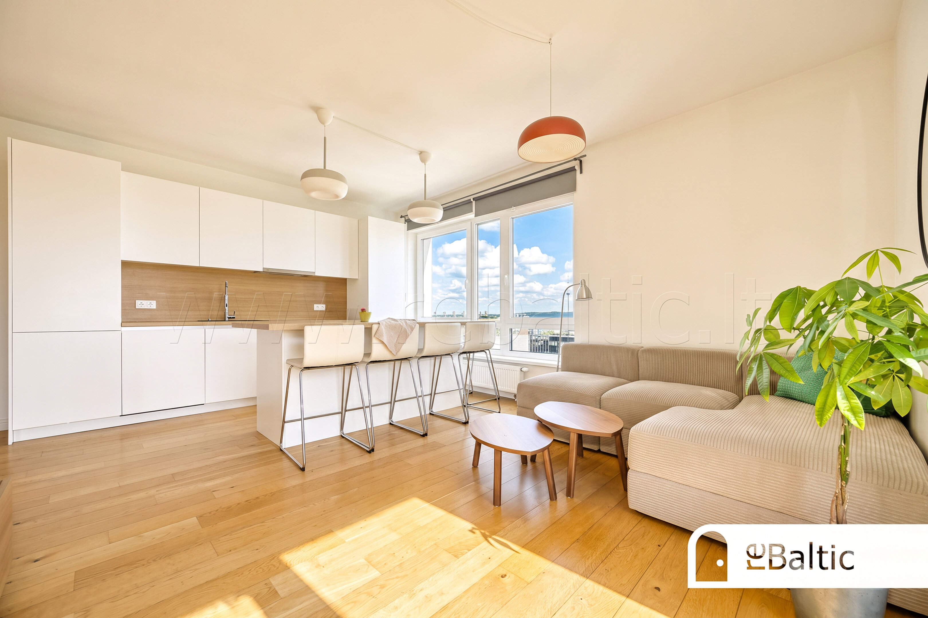 Savanorių pr., Naujamiestis, Vilnius, 3 kamb. – nuotrauka 4