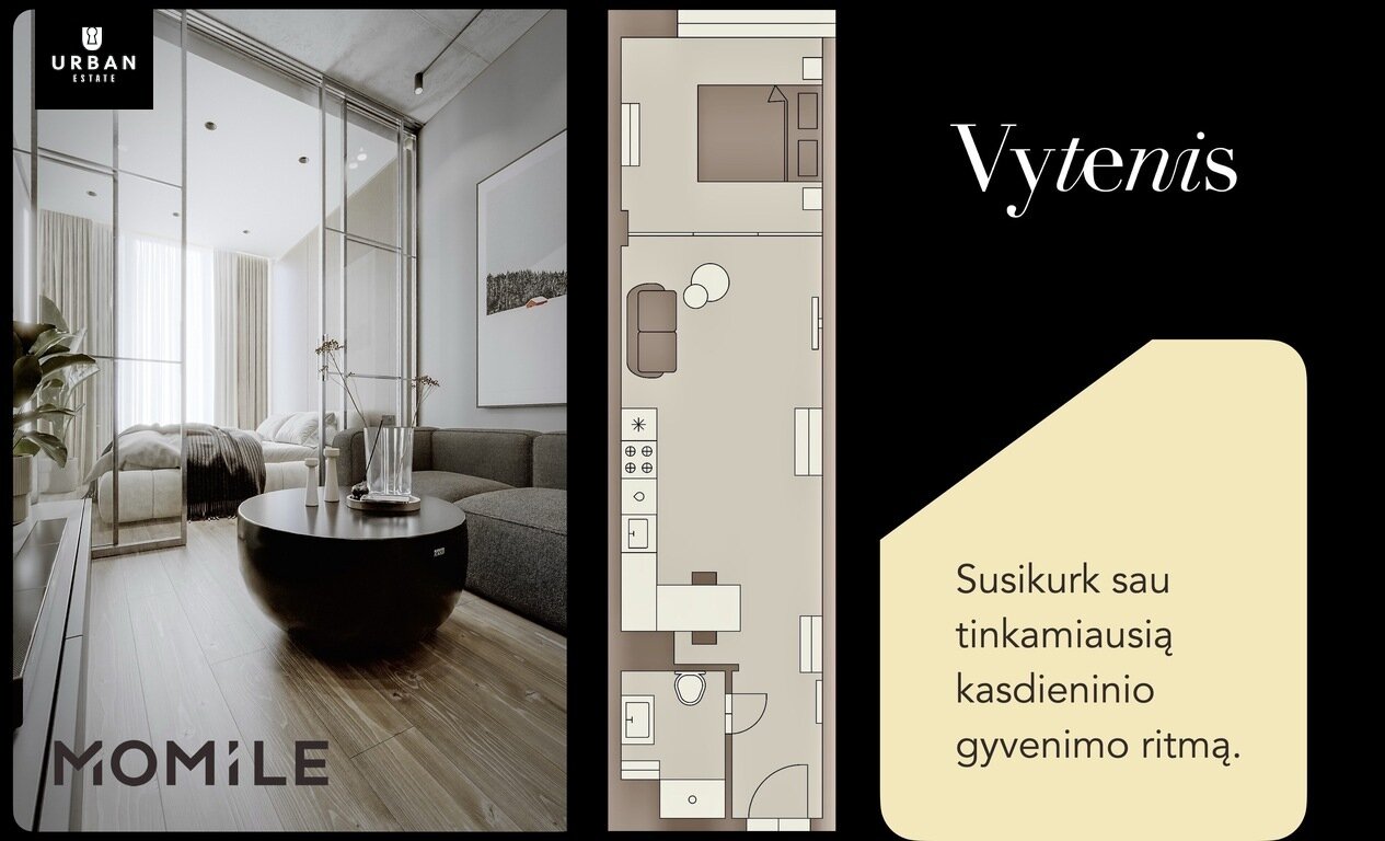 Vytenio g., Naujamiestis, Vilnius, 1 kamb. – nuotrauka 4