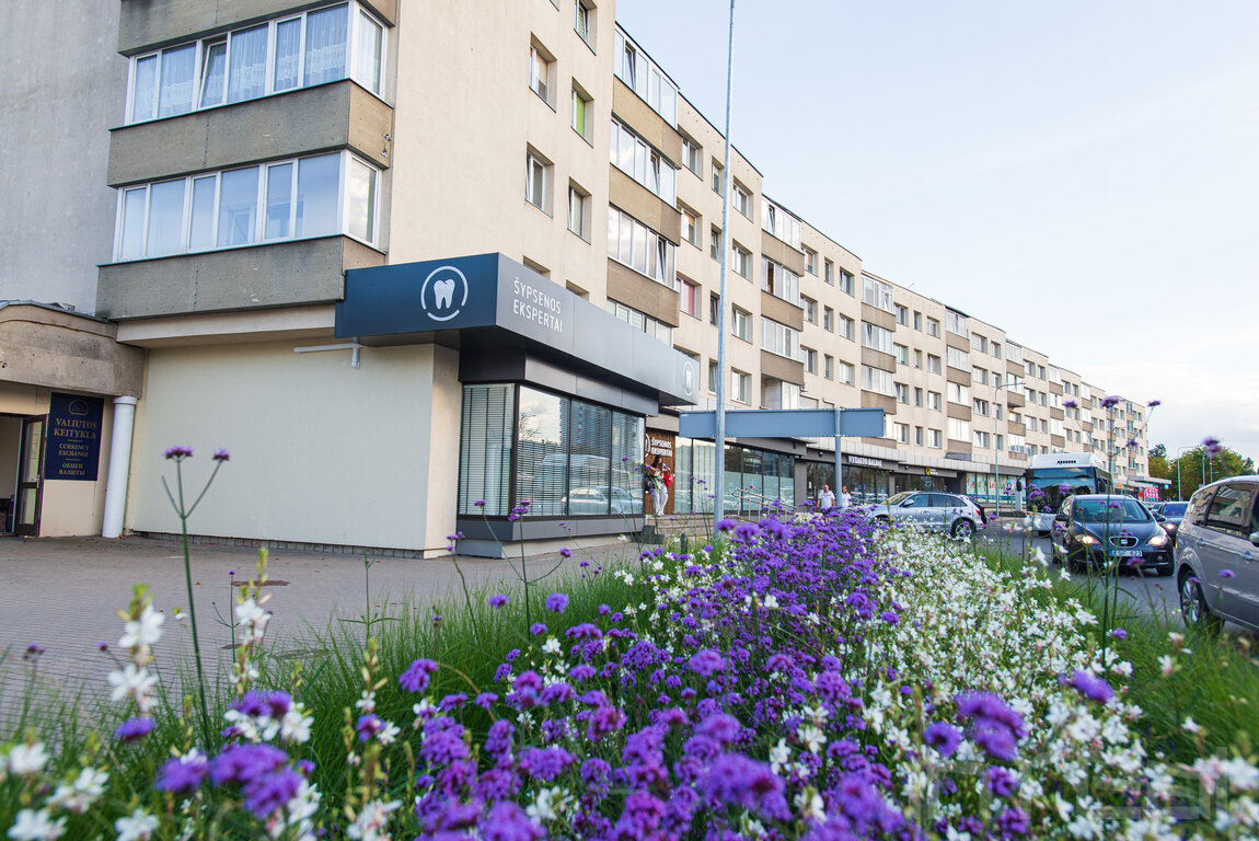 J. Basanavičiaus g., Centras, Panevėžys, 2 kamb. – image 1