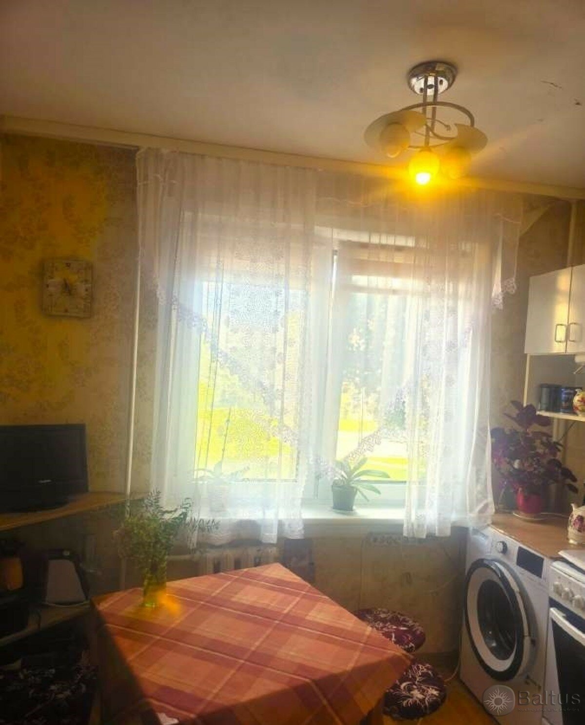 Naikupės g., Žvejybos uostas, Klaipėda, 1 kamb. – nuotrauka 6